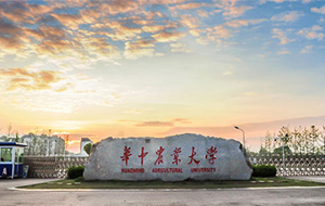 华农实验室纯水系统招标恭喜豪利777官网中标