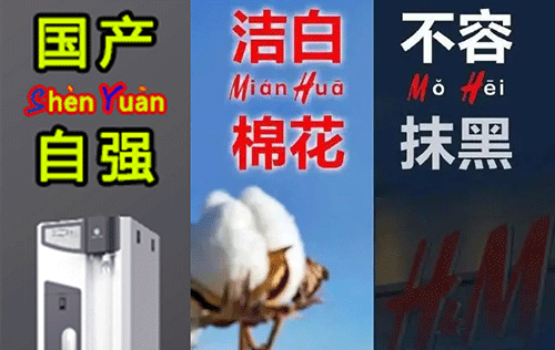 国产纯水机哪家强？