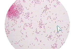 什么是水中的热源?