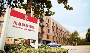 华师生命科学院