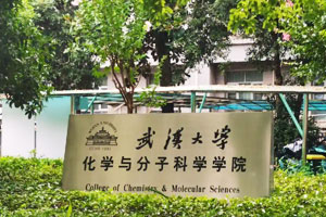 武汉大学化学与分子科学院