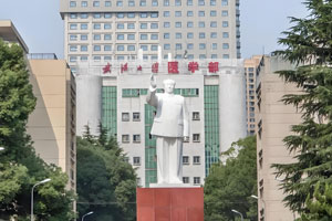 武汉大学医院部