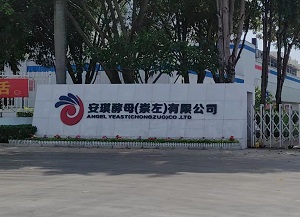 安琪酵母携手成都豪利777官网,开启超纯水质新篇章